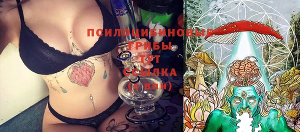 молекула духа Алексин