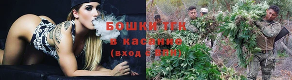 каннабис Алексеевка