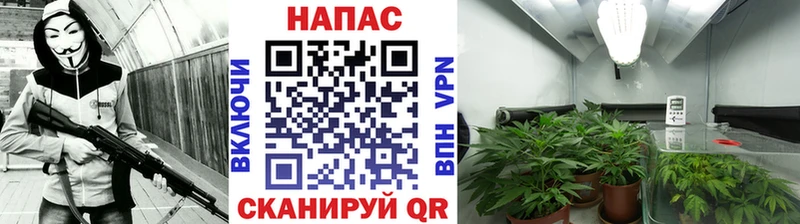 цены наркотик omg ссылки Каннабис тримм Печоры